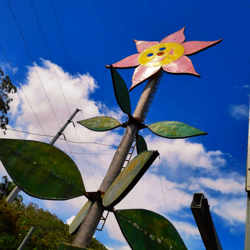 The Big Flower, Ourimbah, NSW - Land of the Bigs