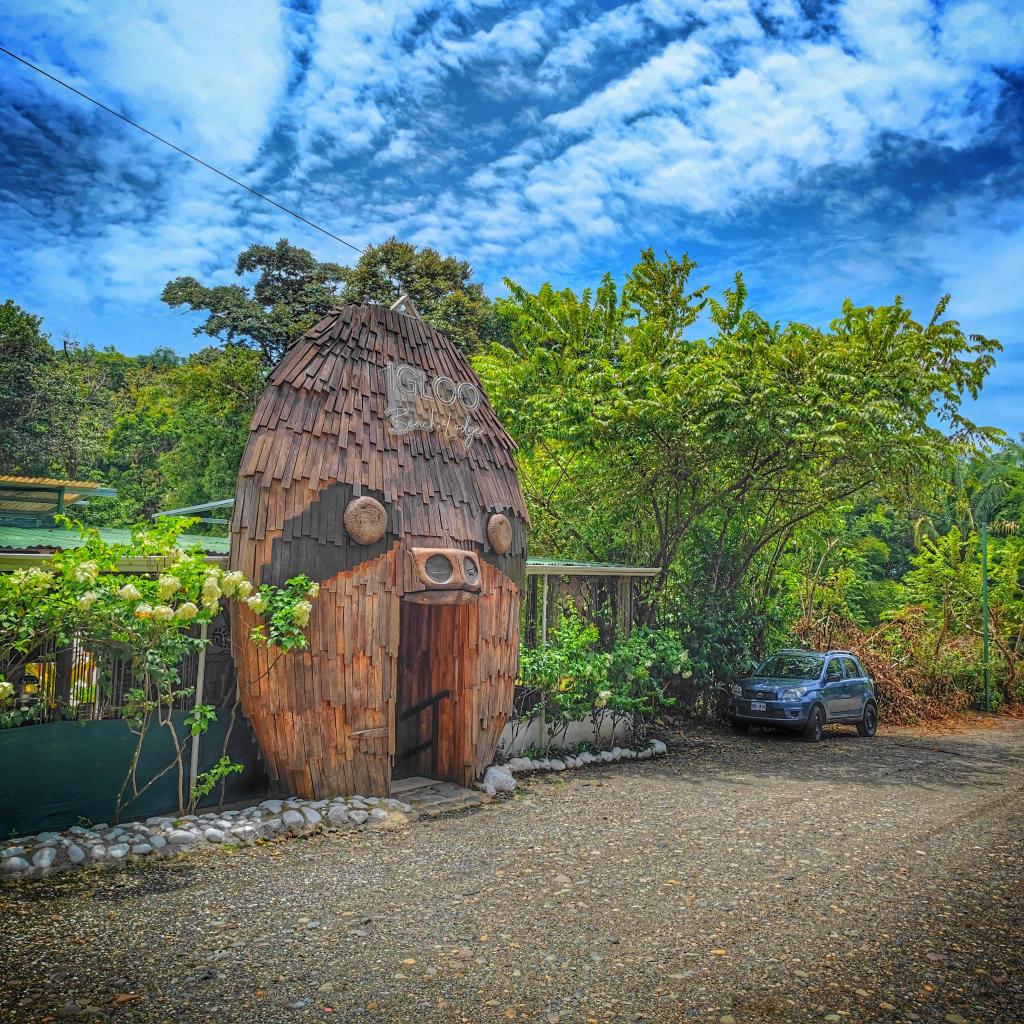 SLOTH, Manuel Antonio, Costa Rica - Land of the Bigs
