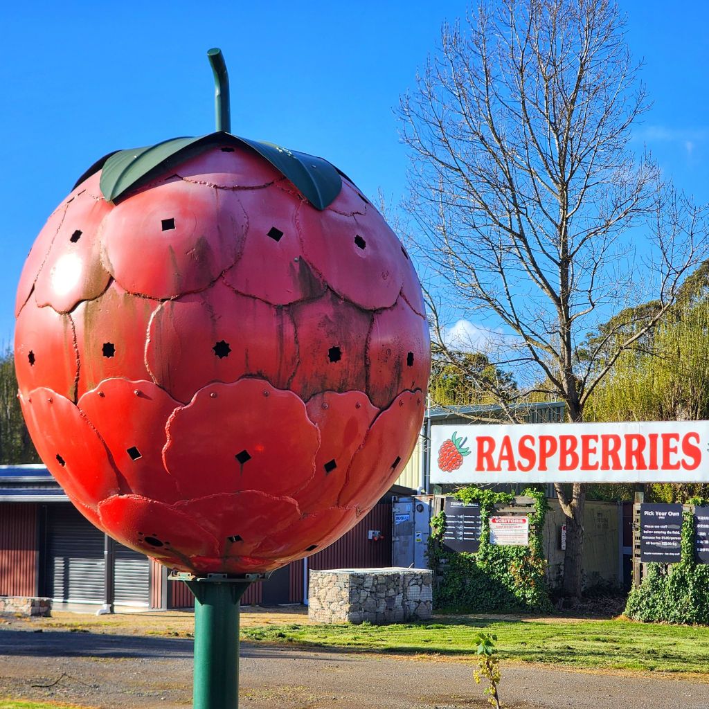 The Big Raspberry, Westerway, Tas - Land of the Bigs